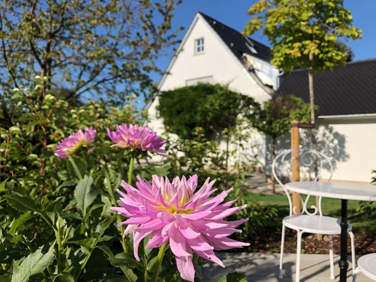 B & B Villa Dahlia Μπάκνανγκ Εξωτερικό φωτογραφία